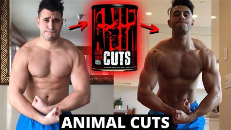 Animal Cuts Before And After Pictures