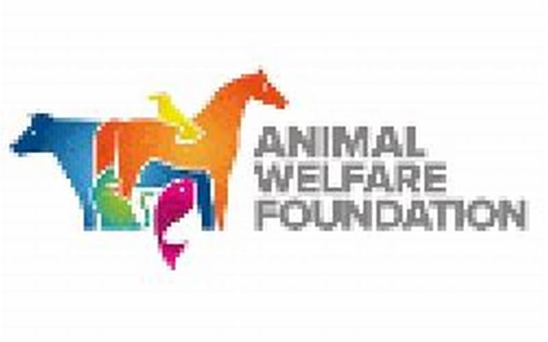 Animal Welfare Charities