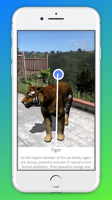 Animal 3D Ar Not Working