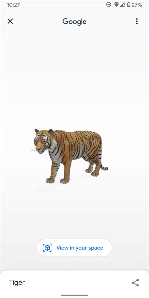 Animal 3D View Camera