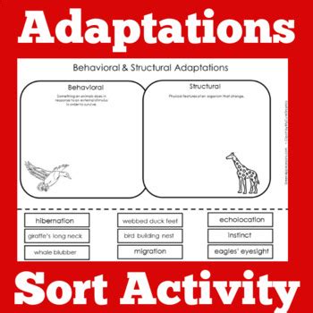 Unlock Your Child's Curiosity: Explore Animal Adaptations with 2nd Grade Worksheets