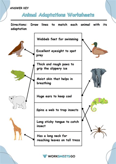 Explore Amazing Animal Adaptations with Engaging 4th Grade Worksheets!