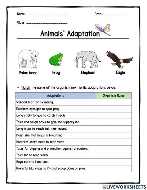 5th Grade Animal Adaptations Worksheets for an Engaging Science Lesson