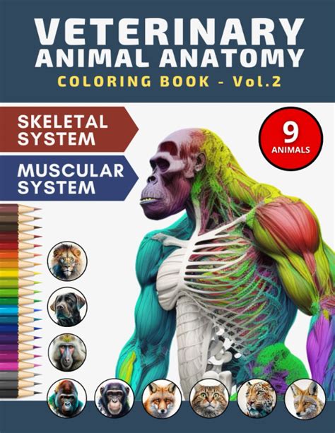 Discover the Fascinating World of Animal Anatomy with our Coloring Book - Perfect for Learning and Relaxation!