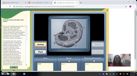 Exploring the World of Cells: An Interactive Animal and Plant Cell Virtual Lab Experience
