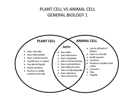 Comparing Animal and Plant Cells: A Comprehensive Guide using Venn Diagrams