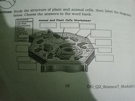 Unlock the Wonders of Animal and Plant Cells with this Fun Worksheet!