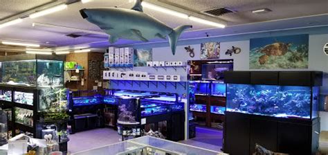 Discover the Ultimate Animal Attraction in Greeley, CO - A Must-Visit Destination for Wildlife Enthusiasts!