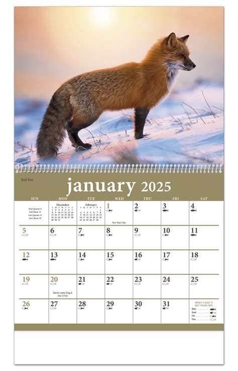 Animal Calendar 2024