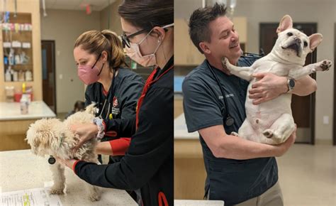 Animal Care Center of Shorewood Surgical Suite