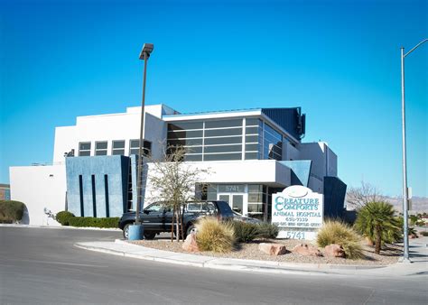 Expert Animal Care in Las Vegas, NM: Discover Our Trusted Clinic for Happy, Healthy Pets