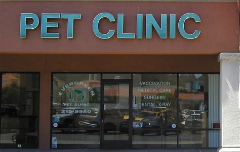 Top-Rated Animal Care Clinic in San Pablo, CA: Exceptional Care for Your Beloved Pets