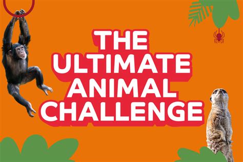Animal Challenges