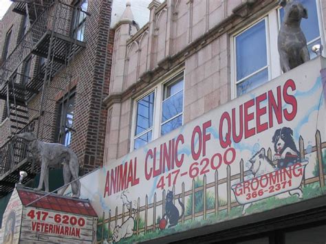 Quality Pet Care at Animal Clinic of Queens on Fresh Pond Road - Your Go-To Destination for Comprehensive Vet Services!