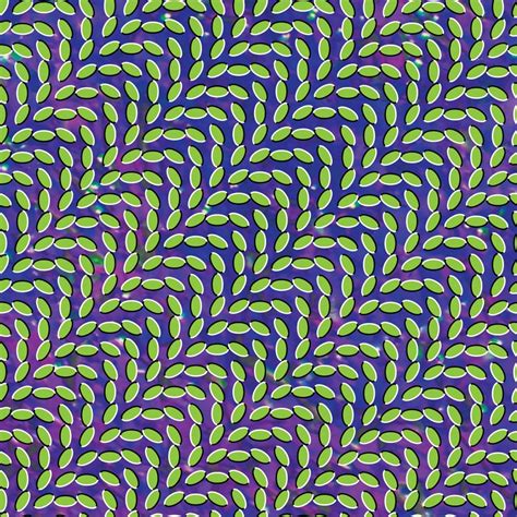 Get your hands on Animal Collective's iconic album with Merriweather Post Pavilion Zip!