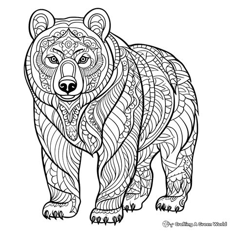 Animal Coloring Pages For Adults Bear