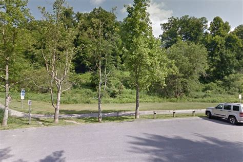 Effective Animal Control Services in Boone, NC – Trustworthy Solutions for a Safer Community