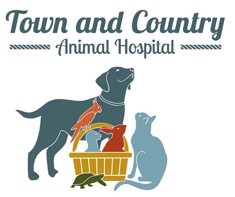 Effective Animal Control Services in Hattiesburg, MS - Protect Your Community and Pets Today!