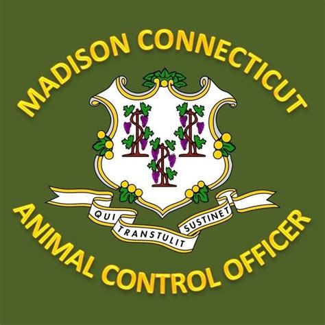 Effective and Professional Animal Control Services in Madison, CT | Keep Your Property Safe and Secure with Our Expert Assistance