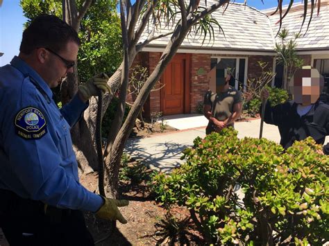 Effective and Affordable Animal Control Services in Newport News: Keep Your Property Safe with Experienced Professionals