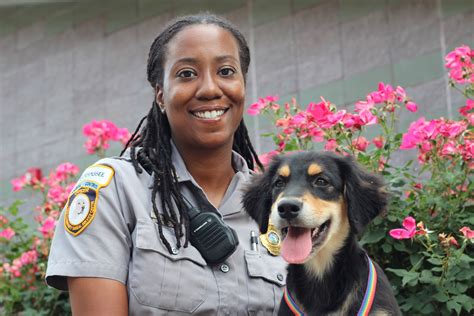 Discover Animal Control Officer Jobs in Florida - Join the Team Making a Difference for Wildlife and Communities!
