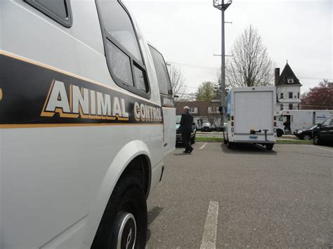 Top-Quality Animal Control Services in Ridgefield, CT - Protect Your Property Today!