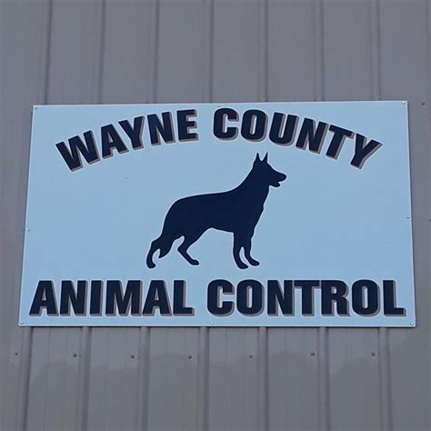Effective Animal Control Services in Wayne County, MI: Keep Your Community Safe with Expert Pest Management Solutions