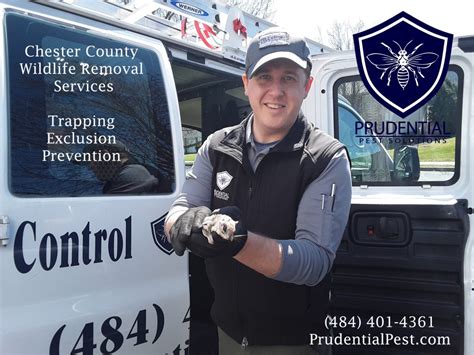 Expert Animal Control in West Chester, PA – Safeguard Your Home and Family Now!