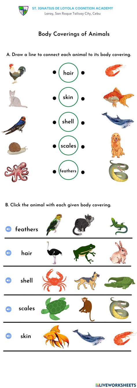 Animal Coverings Worksheet