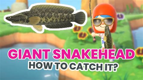 Discover the Fascinating World of Animal Crossing New Horizons' Giant Snakehead: Tips, Tricks and Fun Facts!