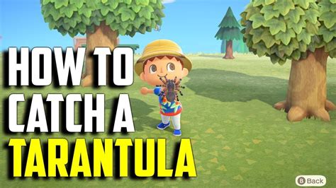 Discover How to Catch a Tarantula in Animal Crossing New Leaf: Expert Tips and Tricks