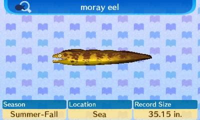 Discover the Fascinating Moray Eel in Animal Crossing New Leaf: Your Guide to Unlocking this Unique Aquatic Resident