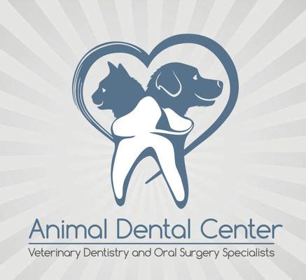 Discover Superior Pet Dental Care at Animal Dental Center in York, PA - Ensuring Your Furry Friends' Oral Health and Wellness