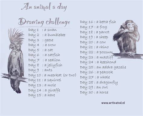 Animal Drawing Challenges