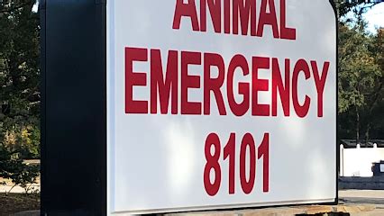 Urgent Care for Your Furry Friends: Animal Emergency of Hernando Provides Expert Veterinary Services