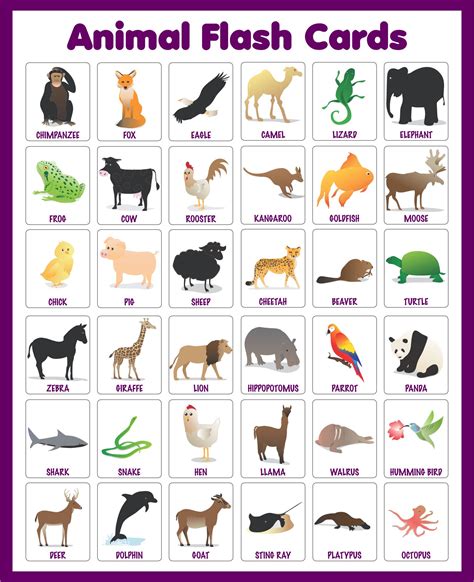 Animal Flashcard Printable