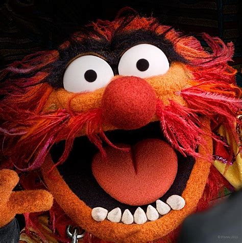 Discover the Adorable World of Animal from The Muppets Through Striking Images