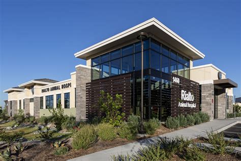 Top-notch Animal Hospital in Rialto - Providing Quality Pet Care Services for Your Furry Friends