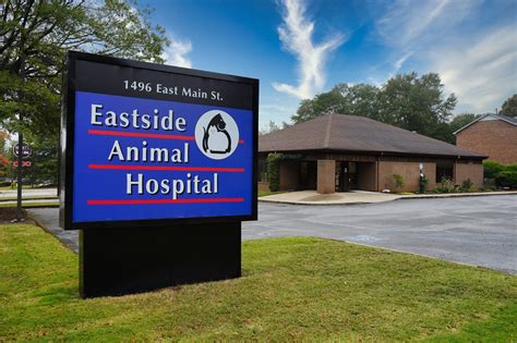 Top-Quality Veterinary Care at Animal Hospital of Havre De Grace: Your Pet's Health is Our Priority