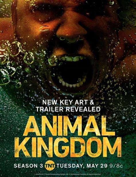 Experience the Thrilling World of Animal Kingdom Season 3 on Amazon Prime: A Must-Watch for Animal Lovers and Crime Drama Fans!