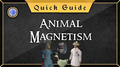 Unleash Your Animal Magnetism: A Quick Guide to Attracting Attention and Building Connections - SEO Title for Animal Magnetism/Quick Guide