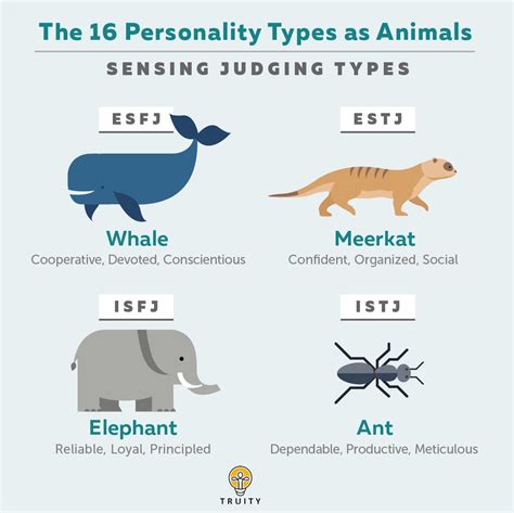 Animal Matrix Personality Test