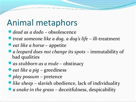 10 Animal Metaphors That Perfectly Describe Human Behaviour