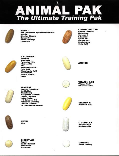 Unveiling the Truth: Understanding the Potential Kidney Side Effects of Animal Pak Supplements