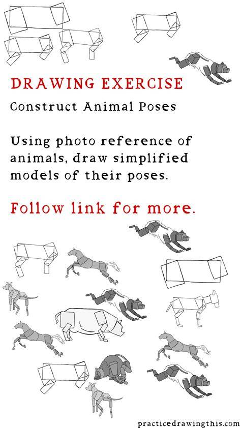 Animal Pose Guide