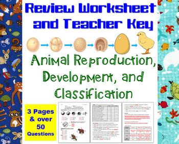 Get the Answers to Animal Reproduction and Development Worksheet: Ace Your Biology Class with These Helpful Solutions