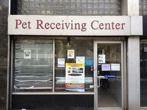 Find Compassionate Care for Your Furry Friends at Animal Shelter Fordham Rd Bronx NY