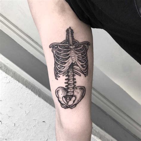 Animal Skeleton Tattoo
