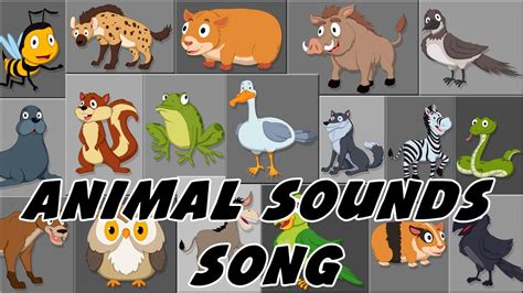 Animal Sounds Song Video Download