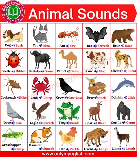 Discover Fun and Educational Animal Sounds with Word Whizzle Game